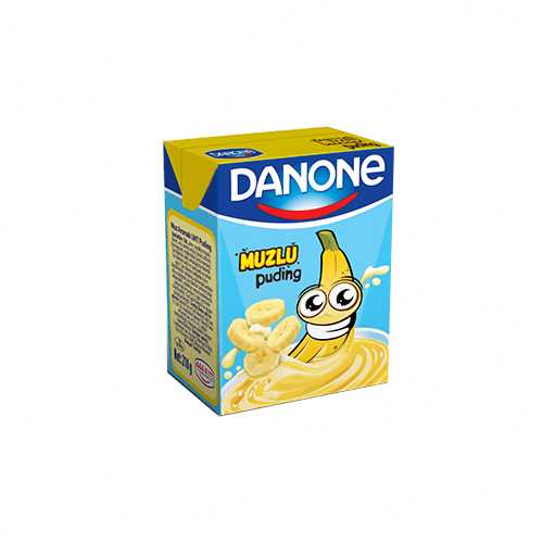 Danone Muzlu Puding (210 ml) Barkod Numarası