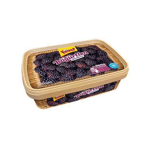 Feast Böğürtlen (350 g) Barkod Numarası