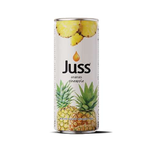 Juss Ananas Meyve Nektarı (250 ml) Barkod Numarası