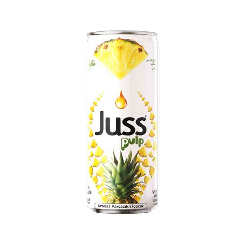 Juss Ananas Parçacıklı İçecek (250 ml) Barkod Numarası