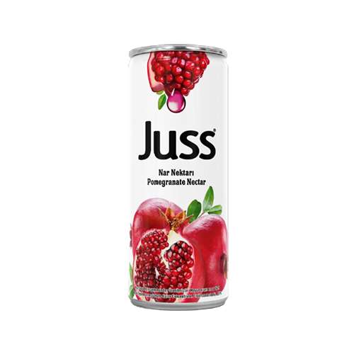 Juss Nar Meyve Nektarı (330 ml) Barkod Numarası