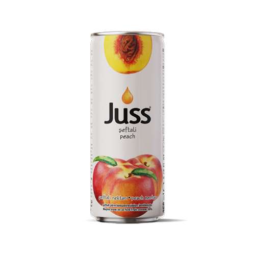 Juss Şeftali Meyve Nektarı (250 ml) Barkod Numarası