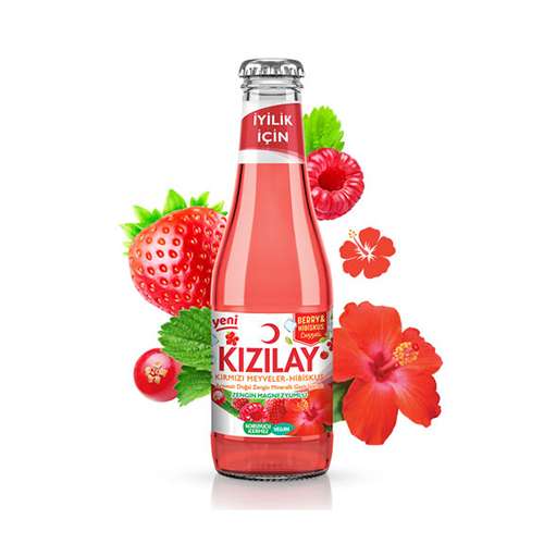 Kızılay Berry Hibiskus Aromalı Maden Suyu (200 ml) Barkod Numarası