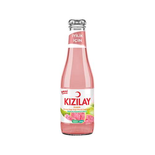 Kızılay Guava Aromalı Maden Suyu (200 ml) Barkod Numarası