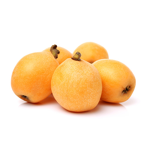 Malta Eriği (500 g) Barkod Numarası