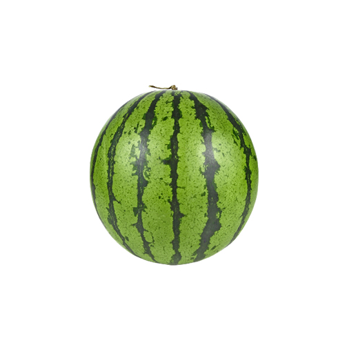 Mini Karpuz (2-3 kg) Barkod Numarası