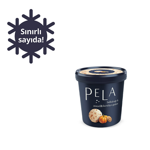 Pela Balkabağı & Zencefilli Kurabiye Gelato (125 ml) Barkod Numarası