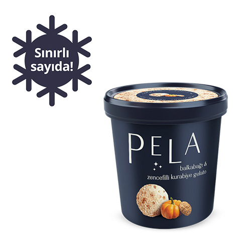 Pela Balkabağı & Zencefilli Kurabiye Gelato (450 ml) Barkod Numarası