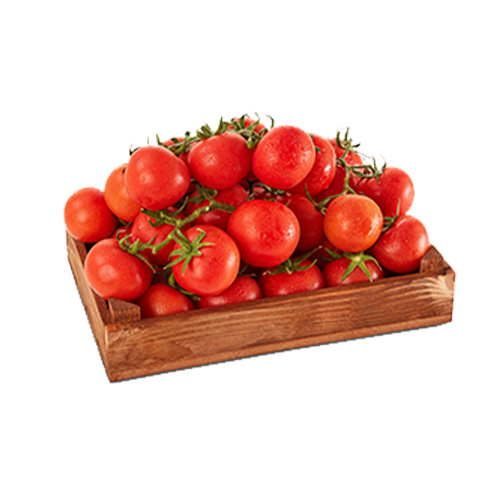 Salkım Domates (600 g) Barkod Numarası