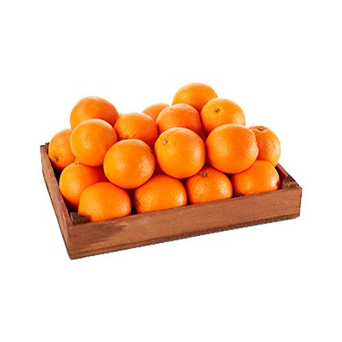 Sıkmalık Portakal (1 kg) Barkod Numarası