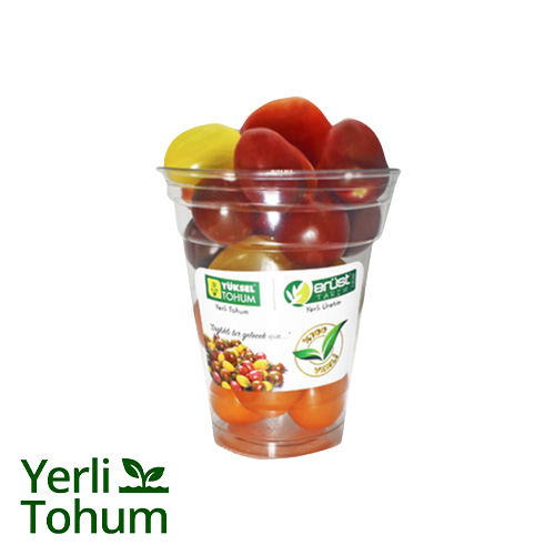 Yerli Tohum Renkli Domates (250 g) Barkod Numarası