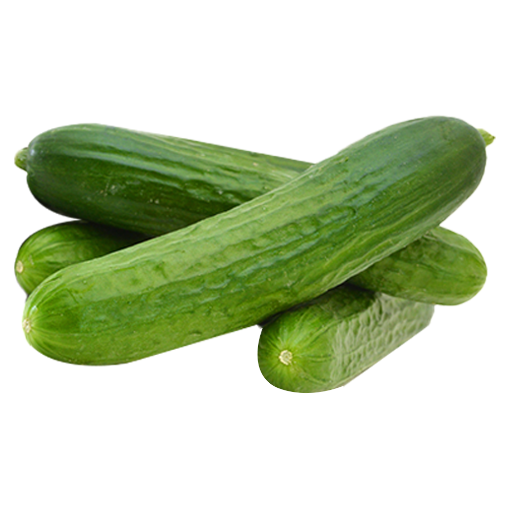 Salatalık (1 kg) Barkod Numarası